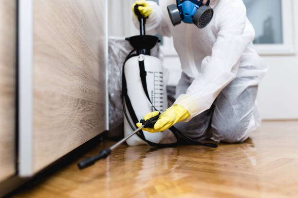Professional Pest Control in West Plains, MO