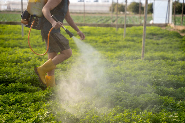 Best Pest Prevention Services  in West Plains, MO